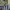 Thanksinsomnia Jersey 2022 Newcastle United photo 1