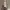 Converse Run Star Hike Three Color photo 4