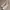 Converse Run Star Hike Three Color photo 2