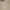 Calvin Klein Vintage Fleece Pria tan photo 3