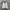 Crewneck Dickies Small Logo Bordir photo 1