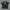 Y2K Tshirt The Name Studio Grunge Emo Vkei Poem Graphic