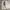 “strangers” y2k bigpocket cream jorts pants (baggy fit) photo 5