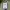 Y2K Jacket Tommy Hilfiger grunge emo vkei poem graphic  photo 6