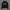 Y2K Jacket Royal Dior grunge emo vkei poem graphic photo 1