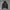 Y2K Jacket Royal Dior grunge emo vkei poem graphic photo 4