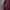Y2K Jacket Kuromi grunge emo vkei poem graphic photo 3