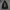 Y2K Jacket Plein Beaute grunge emo vkei poem graphic photo 1