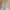 Zara Topstitch Cargo Pants Wide Fit Regular Relaxed Stretch photo 1