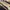 Nike Air Force 1 Crater Flyknit photo 5