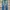 levi’s 501 button fly jeans long pants #JLLP265 photo 3