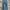 levi’s 501 button fly jeans long pants #JLLP265 photo 5