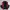 Blackyak Windbreakers Coloblock Jacker
