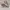 Adidas Trae Young 1 icee photo 1