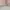 Kate Spade Luxury Minimalist Wallet Wanita pink photo 5