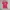 Adidas Graphic Tee – Pink