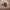 Adidas spezial  photo 1