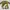 vintage rare custo barcelona lgslv top photo 2