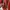 Leather jacket streetwear red photo 4