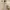Long Dress Pink Lollies Story Size M photo 2