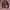 Herschel leopard kalcer backpack photo 1