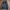 JAKET F.R.J M65 MILITARY CANVAS DALEMAN INER photo 3