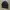 Adidas Bw Double Zipp Tracktop photo 3