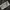 Adidas Bw Double Zipp Tracktop photo 9