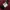 Uniqlo Maroon Jeans Pant photo 3