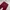 Uniqlo Maroon Jeans Pant photo 4