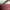 Longchamp bag photo 4