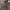 First Time Round American Football Cropped Jersey Espresso photo 8
