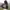 First Time Round American Football Cropped Jersey Espresso photo 2
