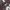 First Time Round American Football Cropped Jersey Espresso photo 7