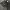 First Time Round FTR American Football Cropped Jersey Black photo 5