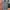 MLB (Major League Baseball) SECOND ORIGINAL photo 1