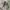 baonhouse cargo balloon pants photo 5