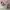 baonhouse cargo balloon pants photo 7