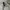 sweat pants balloon photo 6