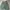 baggy jeans sark green photo 7
