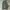 baggy jeans sark green photo 5