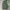 baggy jeans sark green photo 4