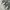 baggy jeans sark green photo 8