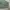 baggy jeans sark green photo 6