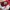 Nike Air Jordan Casual Kids white red photo 6