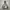 Nike Acg Stormfit 3Layer Gorpcore photo 4