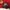 Grunge Casual Wanita red photo 7