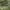 Y2K Rare Ripcurl Army Green Mini skirt photo 4