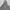 Roots Canada Zip Hoodie  photo 2