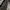 Japanese Brand Trench Coats photo 2